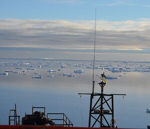 Ice floe view from the deck of the ice breaker