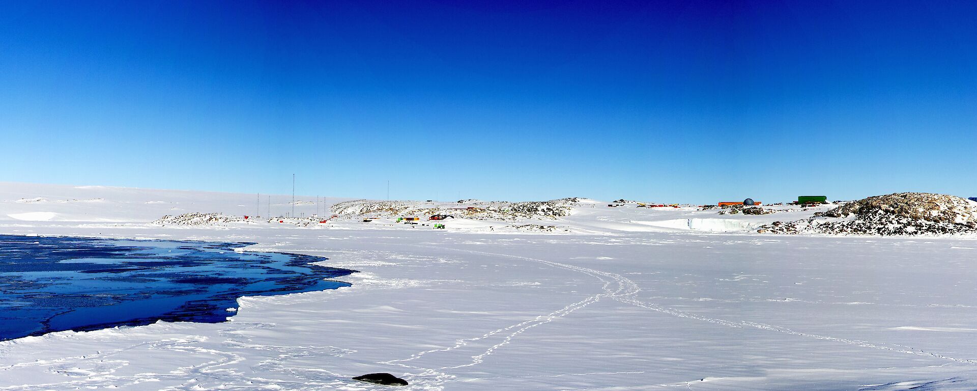 A panoramic picture of the bay with Casey in the background and the frozen sea ice and Leopard seal in the foreground