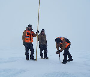 Nick, Ben and Blair carrying out cane line maintenance (note the poor horizon definition)