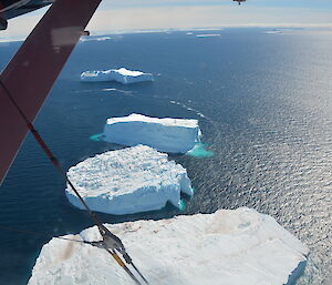 Icebergs along the way