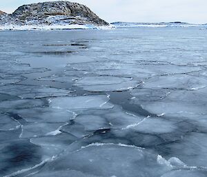 Large patches of ice with mushed edges resembling pancakes.