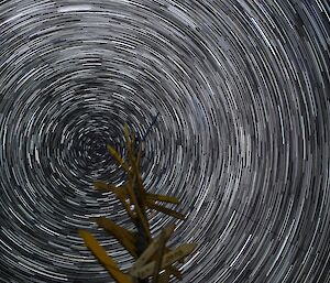 Star trails captured on long exposure create a tunnel look above the wooden sign at Casey station, Antarctica indicating in which direction major cities are globally