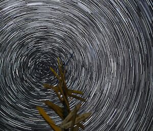 Star trails captured on long exposure create a tunnel look above the wooden sign at Casey station, Antarctica indicating in which direction major cities are globally