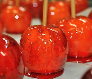 Toffee apples ready for dessert