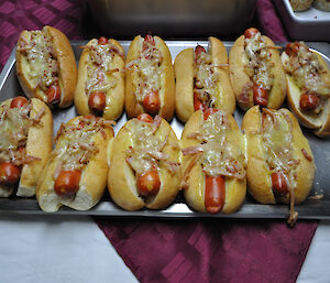 A tray full of American hot dogs with cheese and bacon ready to go at Casey