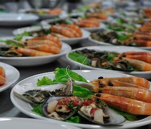 Seafood platter at Casey winter 2014