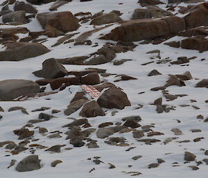 The old happy birthday sign from Casey where it was found on Shirley Island after a 100 knot blizzard