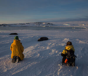 Dan Laban and Ali Dean kneeling near a Weddell seal in front of Casey station