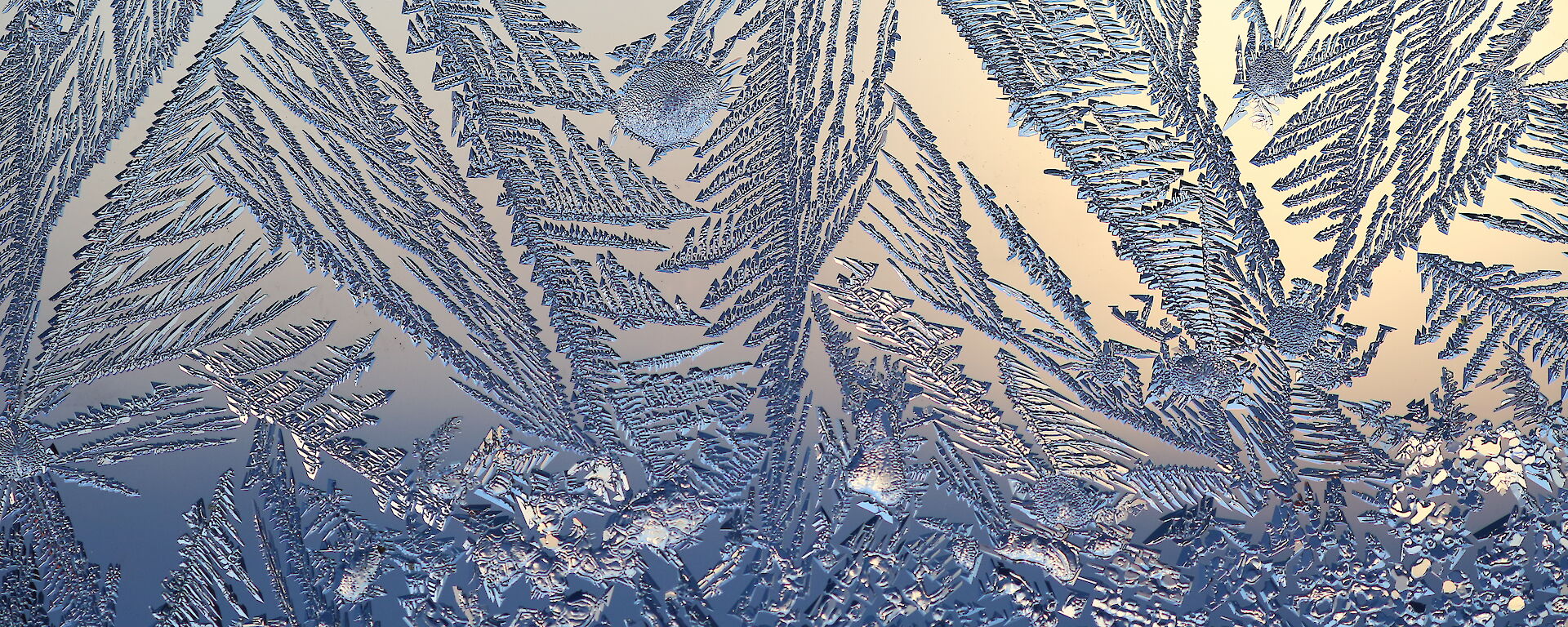Ice patterns on the glass