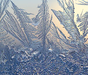 Ice patterns on the glass