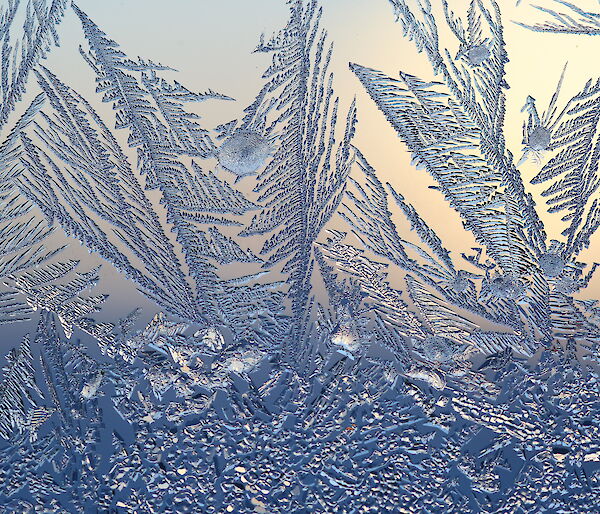 Ice patterns on the glass