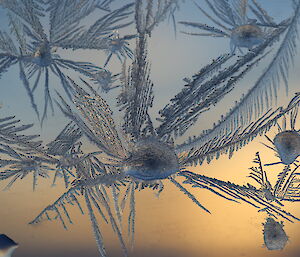 Icy forming patterns on glass at Casey