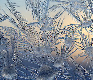 Icy patterns formed on a glass pane at Casey winter 2014