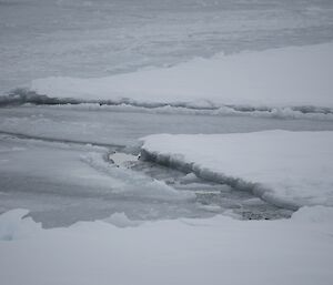 Sea ice starting to form again after a blizzard