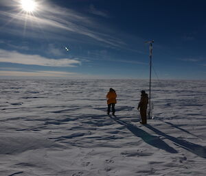 A view of the flat and featureless Antarctic tundra at the Law Dome AWS site