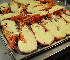 Crayfish with cheese being prepared for dinner at Casey station