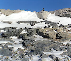 Bird camera near Casey station