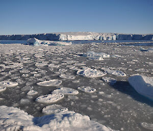 Vanderford Glacier at the end of summer