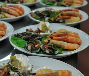 Seafood entree platter ready to serve at Casey winter 2014