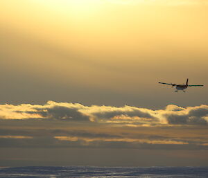 the Twin Otter getting closer as it descends with the evening sun behind it