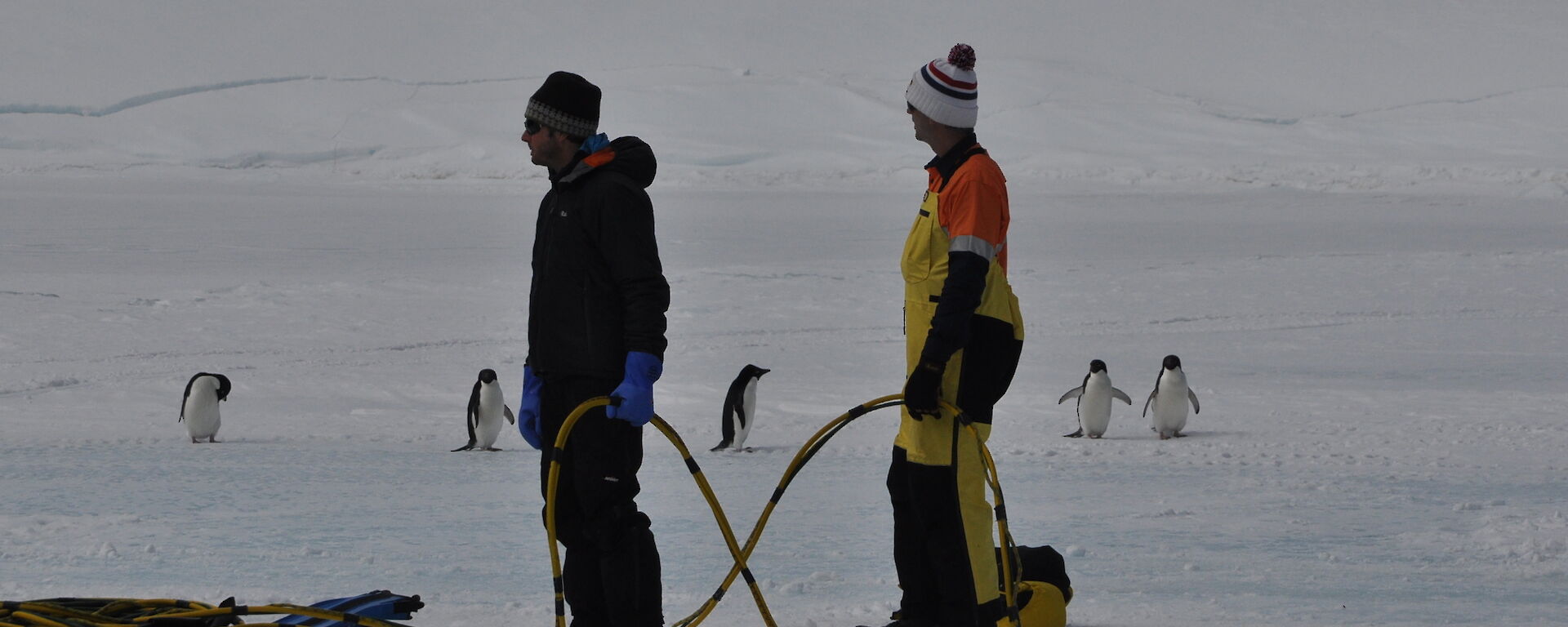 Two dive supervisors on the ice monitoring a diver with curious penguins in background