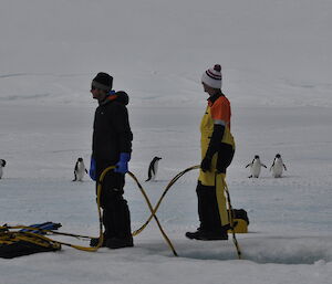 Two dive supervisors on the ice monitoring a diver with curious penguins in background