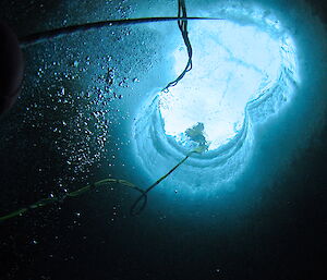 A photo taken from below the ice showing the exit hole