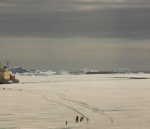 Passengers walk into Davis on the seaice