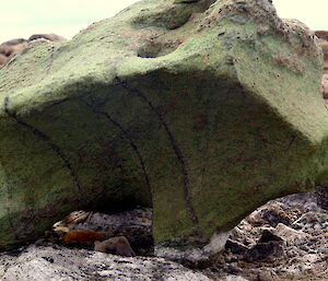 A strange, erratic wind sculpted ventifact