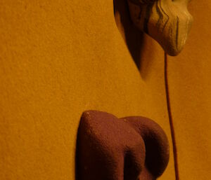 Textured holds on the climbing wall.