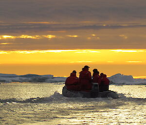 One of the boats doing the iceberg cruise from Davis