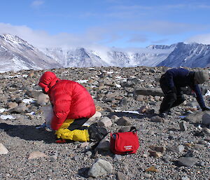 Biodiversity team collecting samples in the Prince Charles Mountains
