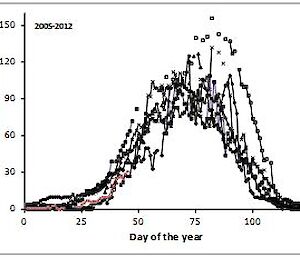 Graph showing the number of elephant seals hauled out on Davis beach, the panel shows the raw counts (2005–2012) with the 2012 counts in red. Seal numbers generally peak between 10 −20 March.