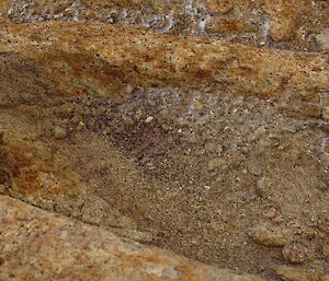 Garnet rocks, Larsemann Hills