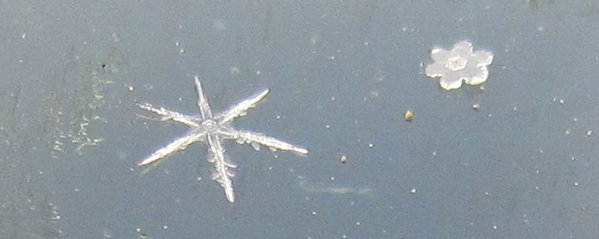 Snowflakes at Davis