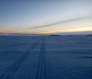 Hagg tracks on the way back to station