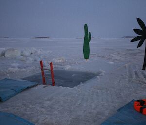 Davis Midwinter swim 2012. A view of the ice pool ready to go with ladder and decorations