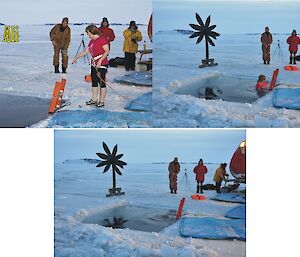 Davis midwinter swim 2012 — collage of Ali Dean