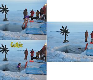 Davis Midwnter Swim 2012 — collage of Cathie Young