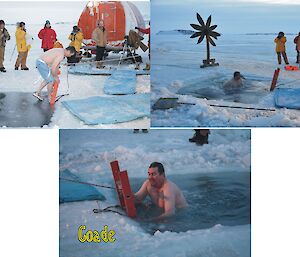 Davis Midwnter Swim 2012 — collage of Mark Coade
