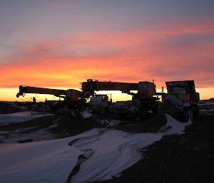 Cranes at daybreak Davis 2012