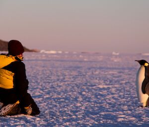 Mel Ho and penguin on the sea ice