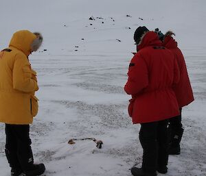 Expeditioners in field in Davis area 2012