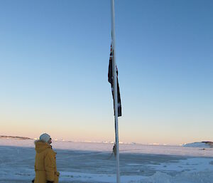 Flag at half mast at Davis Winter 2012
