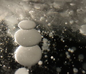 Bubbles in the ice at Watts Lake