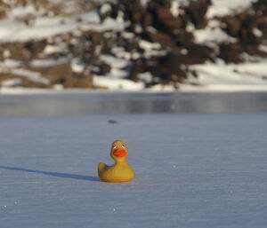 Rubber Duckie at Rubber Duck Lake