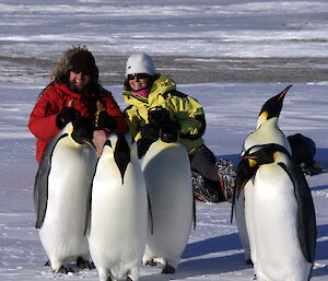 Expeditioners and emperor penguins near Davis