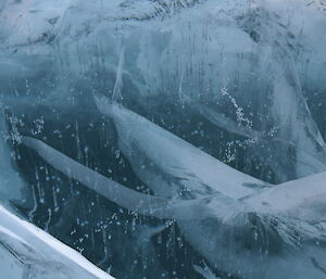 Lake ice bubbles and cracks