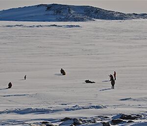 Emperor penguin and expeditioners on the sea-ice