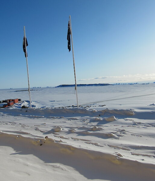 Flags at Davis — no wind